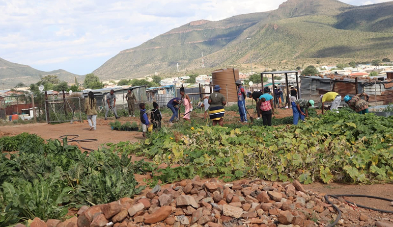 SCLC Case Studies - Vrygronde